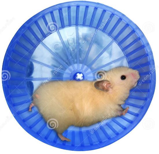 Exhausted-Hamster-in-a-Wheel